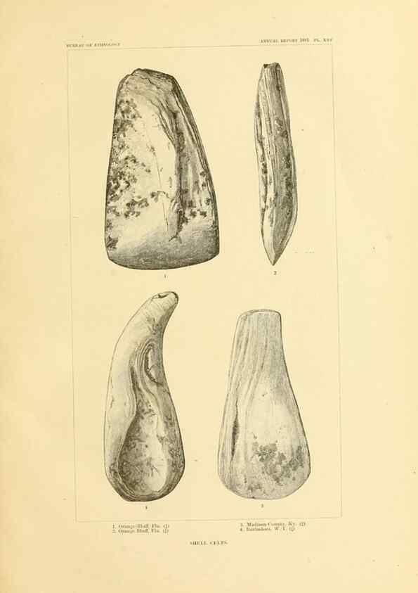 Reproducción/Reproduction 31057274262: Art in shell of the ancient Americans.. Washington,Govt. Print. Off.,1883.
