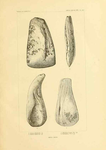 Reproducción/Reproduction 31057274262: Art in shell of the ancient Americans.. Washington,Govt. Print. Off.,1883.