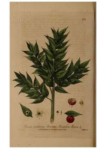 Reproducción/Reproduction 28425893323: British phaenogamous botany,. Oxford,Published by the author, sold by J.H. Parker [etc.]1834-43.