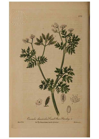 Reproducción/Reproduction 29043430275: British phaenogamous botany,. Oxford,Published by the author, sold by J.H. Parker [etc.]1834-43.