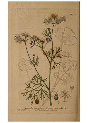Reproducción/Reproduction 29043569005: British phaenogamous botany,. Oxford,Published by the author, sold by J.H. Parker [etc.]1834-43.