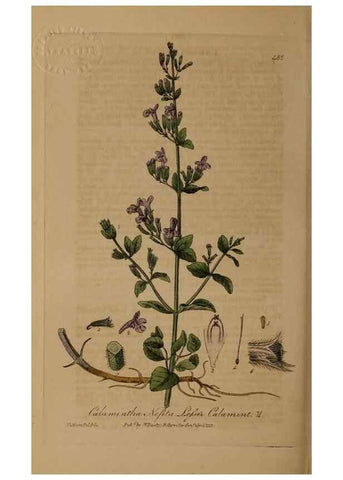 Reproducción/Reproduction 28967552421: British phaenogamous botany,. Oxford,Published by the author, sold by J.H. Parker [etc.]1834-43.