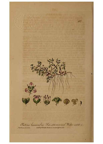 Reproducción/Reproduction 29010544086: British phaenogamous botany,. Oxford,Published by the author, sold by J.H. Parker [etc.]1834-43.