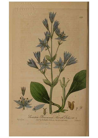 Reproducción/Reproduction 28967583601: British phaenogamous botany,. Oxford,Published by the author, sold by J.H. Parker [etc.]1834-43.