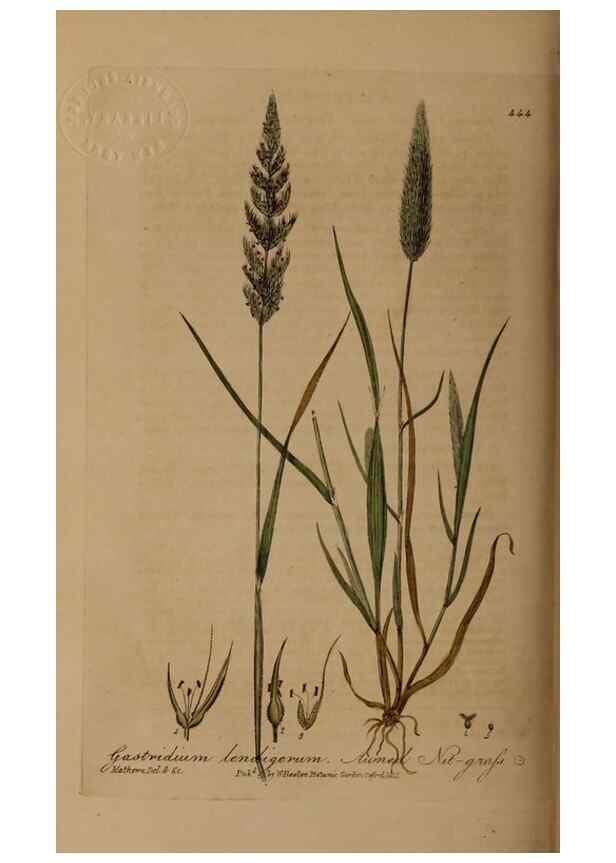 Reproducción/Reproduction 28967448801: British phaenogamous botany,. Oxford,Published by the author, sold by J.H. Parker [etc.]1834-43.