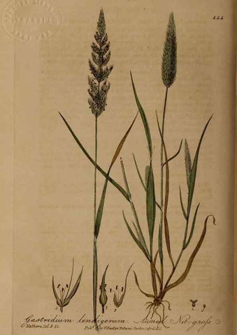Reproducción/Reproduction 28967448801: British phaenogamous botany,. Oxford,Published by the author, sold by J.H. Parker [etc.]1834-43.