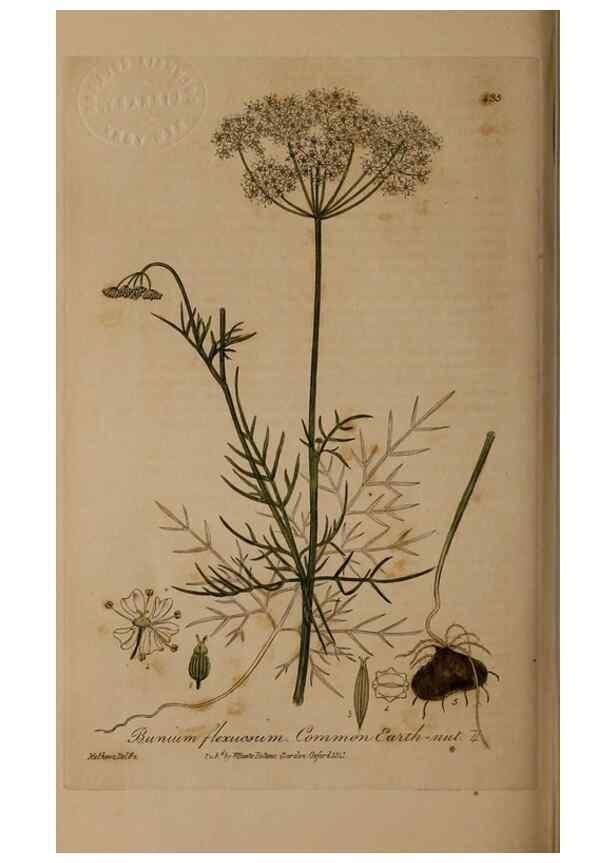Reproducción/Reproduction 28757211380: British phaenogamous botany,. Oxford,Published by the author, sold by J.H. Parker [etc.]1834-43.