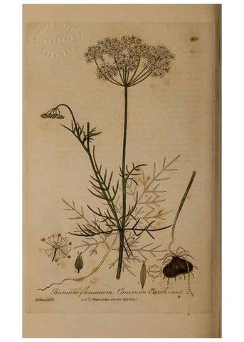 Reproducción/Reproduction 28757211380: British phaenogamous botany,. Oxford,Published by the author, sold by J.H. Parker [etc.]1834-43.