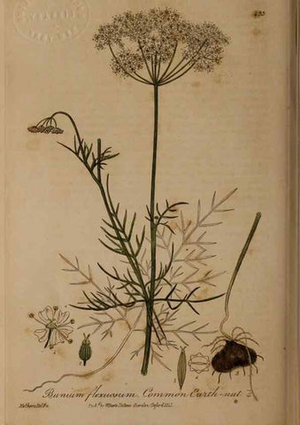 Reproducción/Reproduction 28757211380: British phaenogamous botany,. Oxford,Published by the author, sold by J.H. Parker [etc.]1834-43.