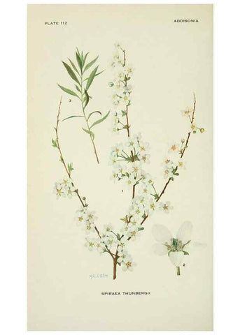 Reproducción/Reproduction 29104827611: Addisonia :. New York :New York Botanical Garden,1916-[1964].