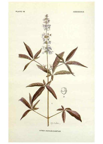 Reproducción/Reproduction 29013741731: Addisonia :. New York :New York Botanical Garden,1916-[1964].