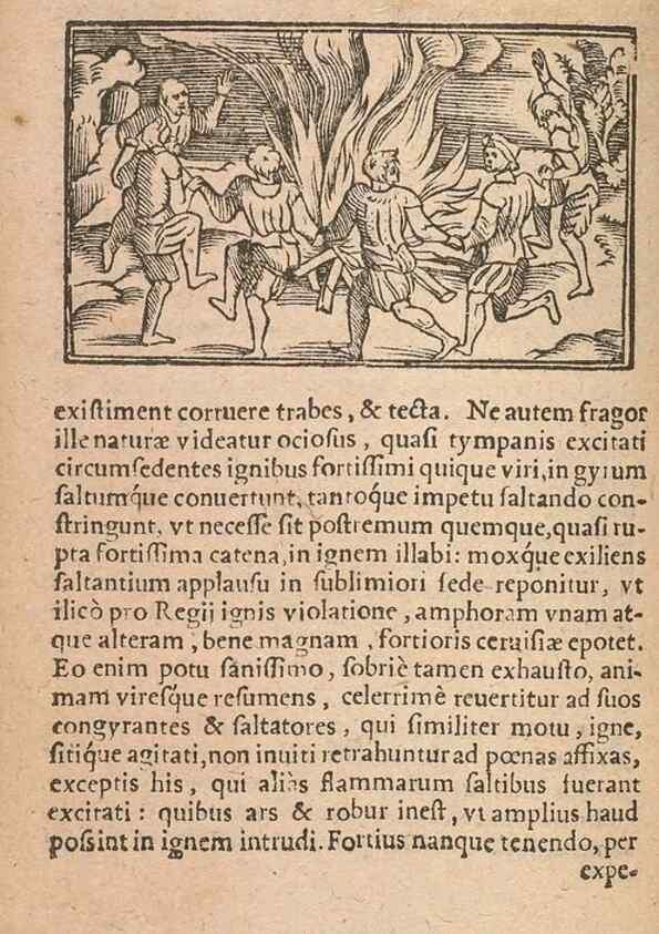 Reproducción/Reproduction 15449708347: Historiae de gentibus septentrionalibus /. Antverpiae :Apud Ioannem Bellerum,[ca. 1557]
