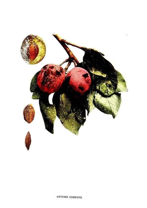 Reproducción/Reproduction 30031781111: The plums of New York .... Albany,J.B. Lyon Company, state printers,1911.