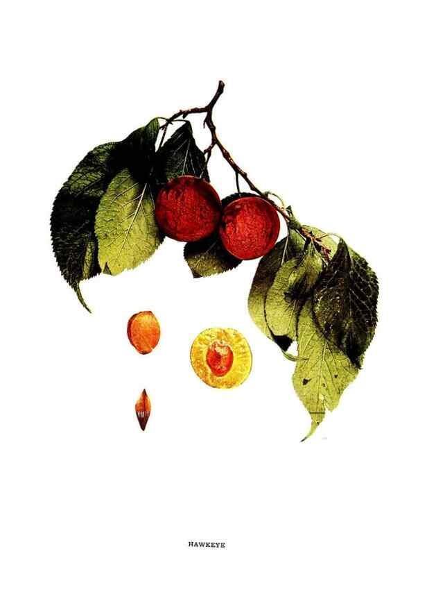 Reproducción/Reproduction 30081015996: The plums of New York .... Albany,J.B. Lyon Company, state printers,1911.