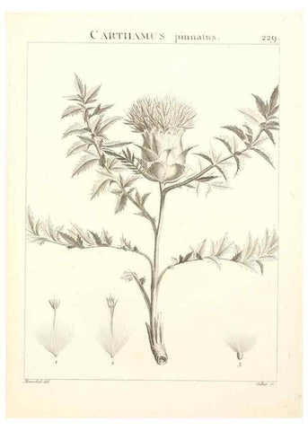 Reproducción/Reproduction 9298231395: Flora Atlantica, sive, Historia plantarum quae in Atlante, agro Tunetano et Algeriensi crescunt /. Parisiis :Apud Blanchon,1800.