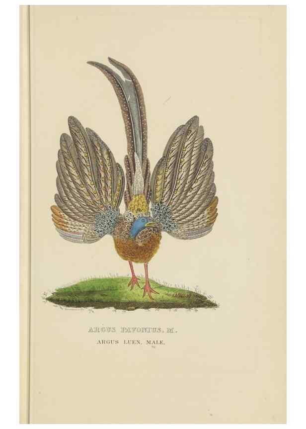 Reproducción/Reproduction 9371187252: Dictionnaire classique des sciences naturelles :. Brussels :Meline, Cans et Ce.,1853.
