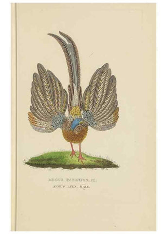 Reproducción/Reproduction 9371187252: Dictionnaire classique des sciences naturelles :. Brussels :Meline, Cans et Ce.,1853.