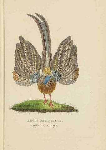 Reproducción/Reproduction 9371187252: Dictionnaire classique des sciences naturelles :. Brussels :Meline, Cans et Ce.,1853.