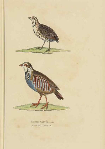 Reproducción/Reproduction 9371189986: Dictionnaire classique des sciences naturelles :. Brussels :Meline, Cans et Ce.,1853.