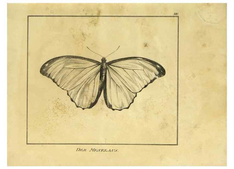 Reproducción/Reproduction 9308252696: Naturhistorische Beschreibung der Insekten.. München,Im verlage der lithographischen Kunst-Anstalt,1822.