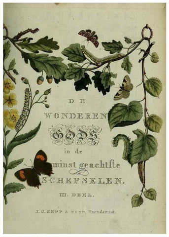 Reproducción/Reproduction 9366025274: Beschouwing der wonderen Gods :. Amsterdam :J.C. Sepp,[1762-1860]