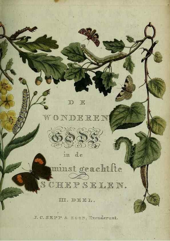 Reproducción/Reproduction 9366025274: Beschouwing der wonderen Gods :. Amsterdam :J.C. Sepp,[1762-1860]