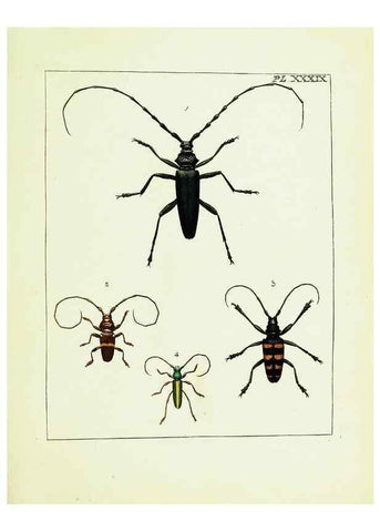 Reproducción/Reproduction 9245689889: Illustrations of natural history.. London,Printed for the author and sold by B. White,1770-82.