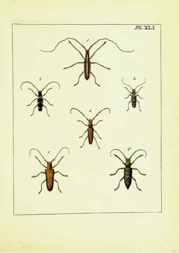 Reproducción/Reproduction 9248472512: Illustrations of natural history.. London,Printed for the author and sold by B. White,1770-82.
