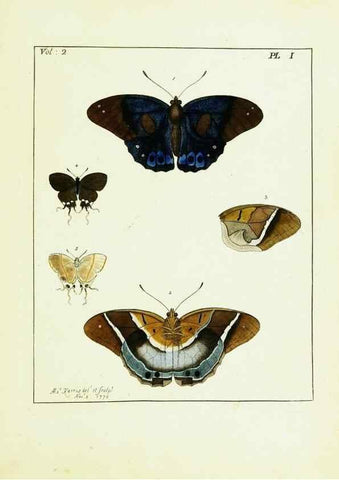 Reproducción/Reproduction 9245745373: Illustrations of natural history.. London,Printed for the author and sold by B. White,1770-82.