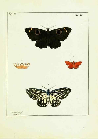 Reproducción/Reproduction 9248526582: Illustrations of natural history.. London,Printed for the author and sold by B. White,1770-82.