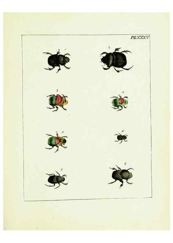 Reproducción/Reproduction 9248468042: Illustrations of natural history.. London,Printed for the author and sold by B. White,1770-82.