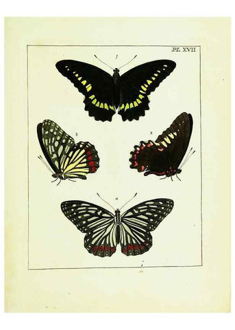 Reproducción/Reproduction 9248453378: Illustrations of natural history.. London,Printed for the author and sold by B. White,1770-82.