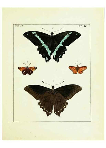 Reproducción/Reproduction 9248528308: Illustrations of natural history.. London,Printed for the author and sold by B. White,1770-82.