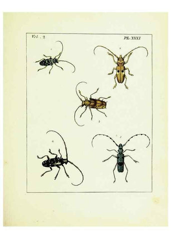 Reproducción/Reproduction 9248552198: Illustrations of natural history.. London,Printed for the author and sold by B. White,1770-82.