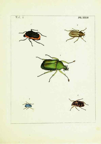 Reproducción/Reproduction 9245772167: Illustrations of natural history.. London,Printed for the author and sold by B. White,1770-82.