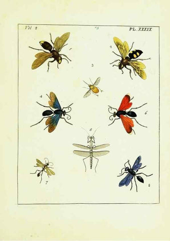 Reproducción/Reproduction 9245777525: Illustrations of natural history.. London,Printed for the author and sold by B. White,1770-82.