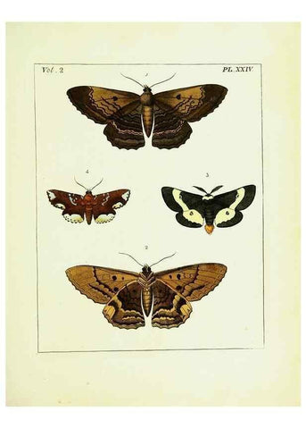 Reproducción/Reproduction 9248545936: Illustrations of natural history.. London,Printed for the author and sold by B. White,1770-82.