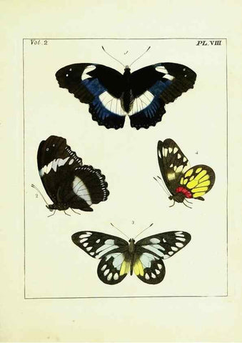 Reproducción/Reproduction 9248531678: Illustrations of natural history.. London,Printed for the author and sold by B. White,1770-82.
