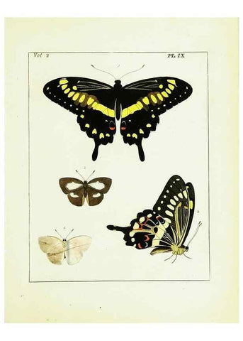 Reproducción/Reproduction 9248532704: Illustrations of natural history.. London,Printed for the author and sold by B. White,1770-82.