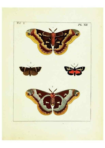 Reproducción/Reproduction 9248535258: Illustrations of natural history.. London,Printed for the author and sold by B. White,1770-82.