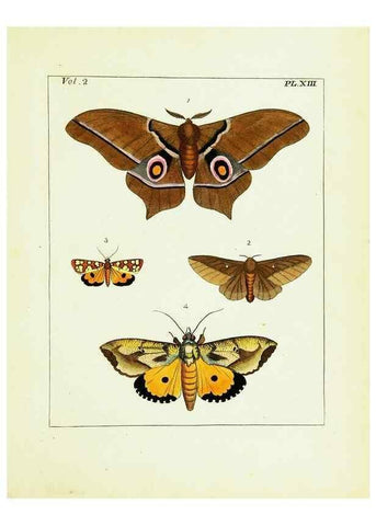 Reproducción/Reproduction 9245755501: Illustrations of natural history.. London,Printed for the author and sold by B. White,1770-82.
