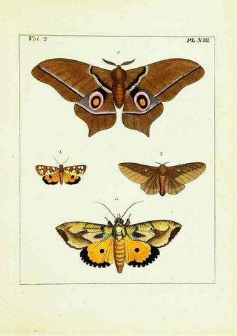 Reproducción/Reproduction 9245755501: Illustrations of natural history.. London,Printed for the author and sold by B. White,1770-82.
