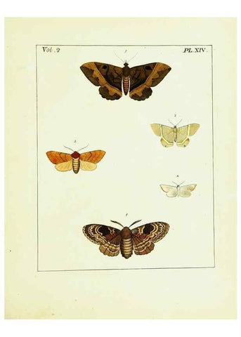 Reproducción/Reproduction 9245756261: Illustrations of natural history.. London,Printed for the author and sold by B. White,1770-82.