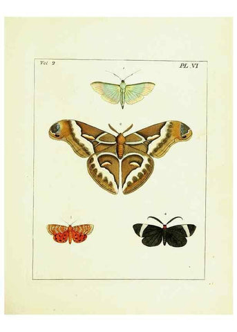 Reproducción/Reproduction 9248530036: Illustrations of natural history.. London,Printed for the author and sold by B. White,1770-82.