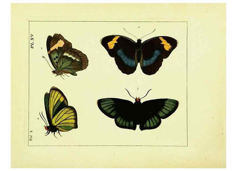 Reproducción/Reproduction 9245757031: Illustrations of natural history.. London,Printed for the author and sold by B. White,1770-82.