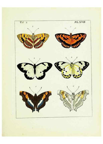 Reproducción/Reproduction 9245759175: Illustrations of natural history.. London,Printed for the author and sold by B. White,1770-82.