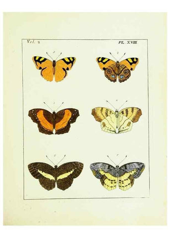 Reproducción/Reproduction 9245759991: Illustrations of natural history.. London,Printed for the author and sold by B. White,1770-82.