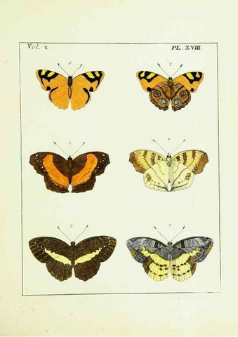 Reproducción/Reproduction 9245759991: Illustrations of natural history.. London,Printed for the author and sold by B. White,1770-82.