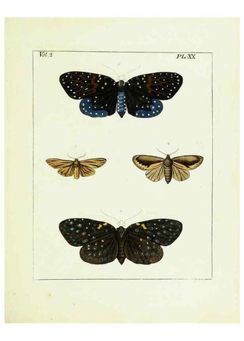 Reproducción/Reproduction 9245761913: Illustrations of natural history.. London,Printed for the author and sold by B. White,1770-82.