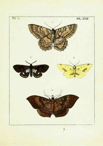 Reproducción/Reproduction 9245763413: Illustrations of natural history.. London,Printed for the author and sold by B. White,1770-82.